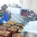 초이농장 이미지