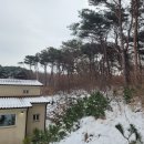 소나무가든민박 이미지