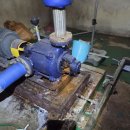 내서읍1251 이미지