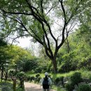 봉수대로-L 이미지