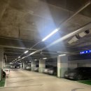 금별맥주 운양점 | 김포 운양동 미용실 하이레이어드 전문 톤앤매너 레이어드펌 후기