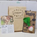 라모나 | 치발기계의 에르메스 올리앤캐롤 라모나방울무