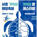 엠티브이21로 머니투데이