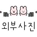 불암동체육관 이미지