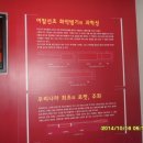 박노계 집판목 Daum카페