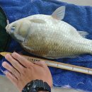 주봉낚시터 이미지