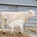 (주) 인터내셔날관광여행사 이미지