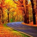 마루벌돌구이 군산점 이미지