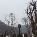 송지목장 이미지