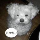 크리스피크림도넛대구 - 북구 침산로 93 | 크리스피크림도넛대구