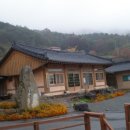 들국화민박 이미지