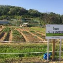 일원농장 이미지