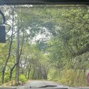 만강숯불갈비 | 10월 만삭임산부 마지막기록, 캠핑, 돈판장, 보백관, 미즈컨테이너, 편대장영화식당, 네네치킨