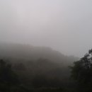 순풍농장 이미지