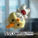 청도체육관 | 경북 청도 반시축제 단기 Staff 알바 후기 **반(말) 모(드) 1탄!!!
