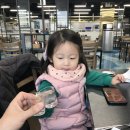 보물성횟집 | 유성구횟집 보물섬수산 테이크아웃 후기 (홀 무한리필)