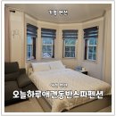 오늘하루 애견 동반 스파펜션 | [가평] _ 오늘하루애견동반스파펜션