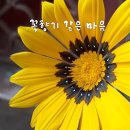 꽃향기 - 포항시 북구 양학로 70-22 | 꽃향기