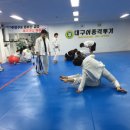 대구이종격투기 이미지