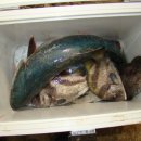 금이 낚시터 이미지