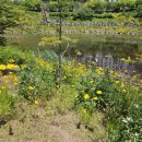 한숲산내음공원 이미지