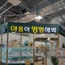 야옹아 멍멍해봐 동탄하나로점 이미지