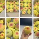 건승유통 이미지