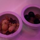 서울드래곤시티 이비스스타일 (사우나) 이미지