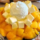 설빙평택대점 애플망고치즈빙수 후기 설빙칼로리