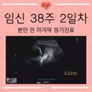 (주)태명수산 | [25.04.29.] 임신일기 (73) :: 38w2d│출산 D-3│아기 이름 나왔다👶🏻│분만 전 마지막 진료