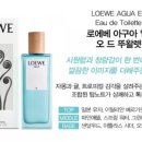 아구아 (Agua)