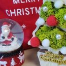 공기정화 스칸디아모스 만들기 이미지