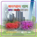 레이광장공인중개사사무소 | 레이카운티 1단지 철쭉과 영산홍의 행복한 꽃길 산책하기