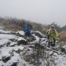 표충사주차장 이미지