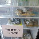 신도바다역 이미지