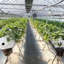 응골농장 이미지