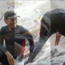 2012년8월/백암산 계곡산행 이미지
