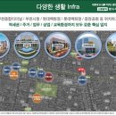 푸루지오 이미지