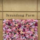 탑골목장 이미지