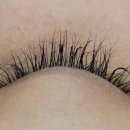 아름다운속눈썹
