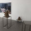 웨스(WESS) 이미지