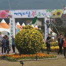 장목초등학교 이미지