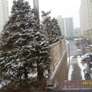 이충주공1(반지마을1단지) 이미지