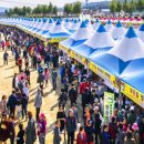 남상일과 함께하는 디톡스 콘서트 이미지