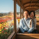 순천만국가정원 갯벌공연장 화장실 | 순천만 국가정원 2박 3일 효도 여행 후기 : 부모님 무릎 걱정 없는 편안한 코스[2026년 4월 최신]