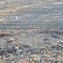 LX한국국토정보공사부평계양지사 | 경계측량, 분할측량 절차와 비용 직접 해본 후기