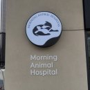 아침동물병원 이미지