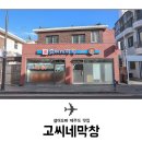 제주고씨네 티스토리