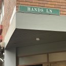 고래야 <미래도시> | 시드니 3대 커피, 싱글오 서리힐즈 브런치｜트래블포레스트 시드니 혹등고래 투어 후기