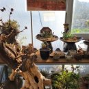 리틀포레스트 | 거제독채펜션 거제단체펜션으로 좋은 리틀포레스트 2호점 후기